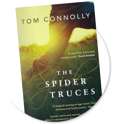 The Spider Truces by Tom Connolly