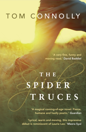 The Spider Truces, Book Cover, Tom Connolly